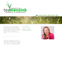 T.  Mensink