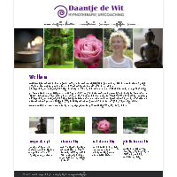 D.J.C. de Wit
