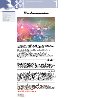 N.J.C.M van der Heijden