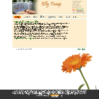 E. Tump-v. Zalinge