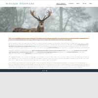 M.T. Stokmans